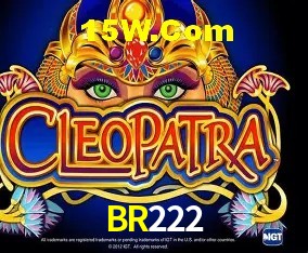 Sessão de jogo em andamento no aplicativo BR222 para Android