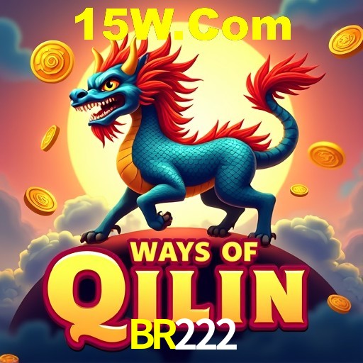 Arquivo de instalação oficial do aplicativo BR222 para Android